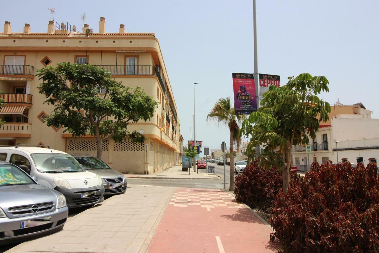 Albatros 1 Apartment *