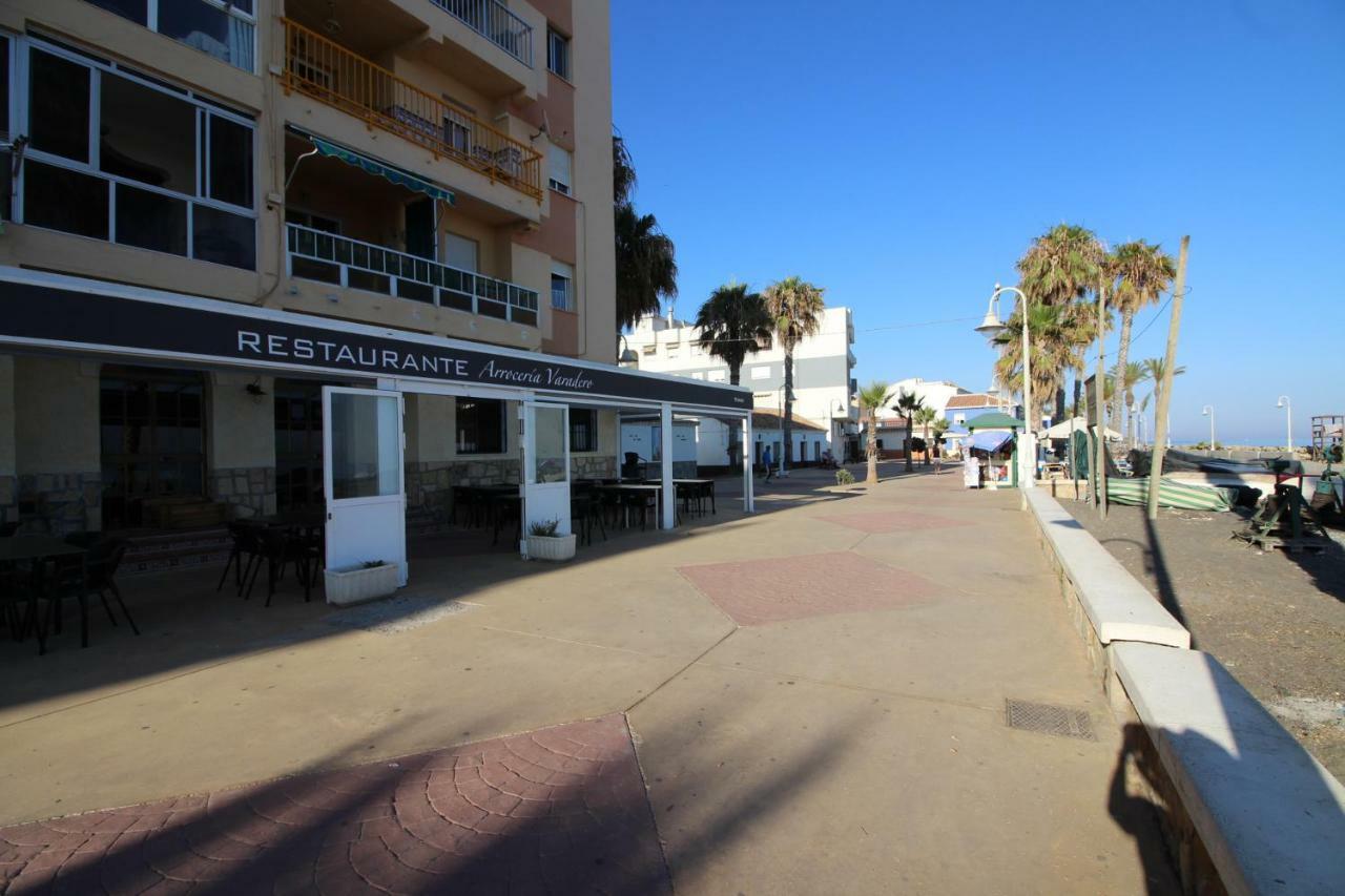 Apartment Albatros 1